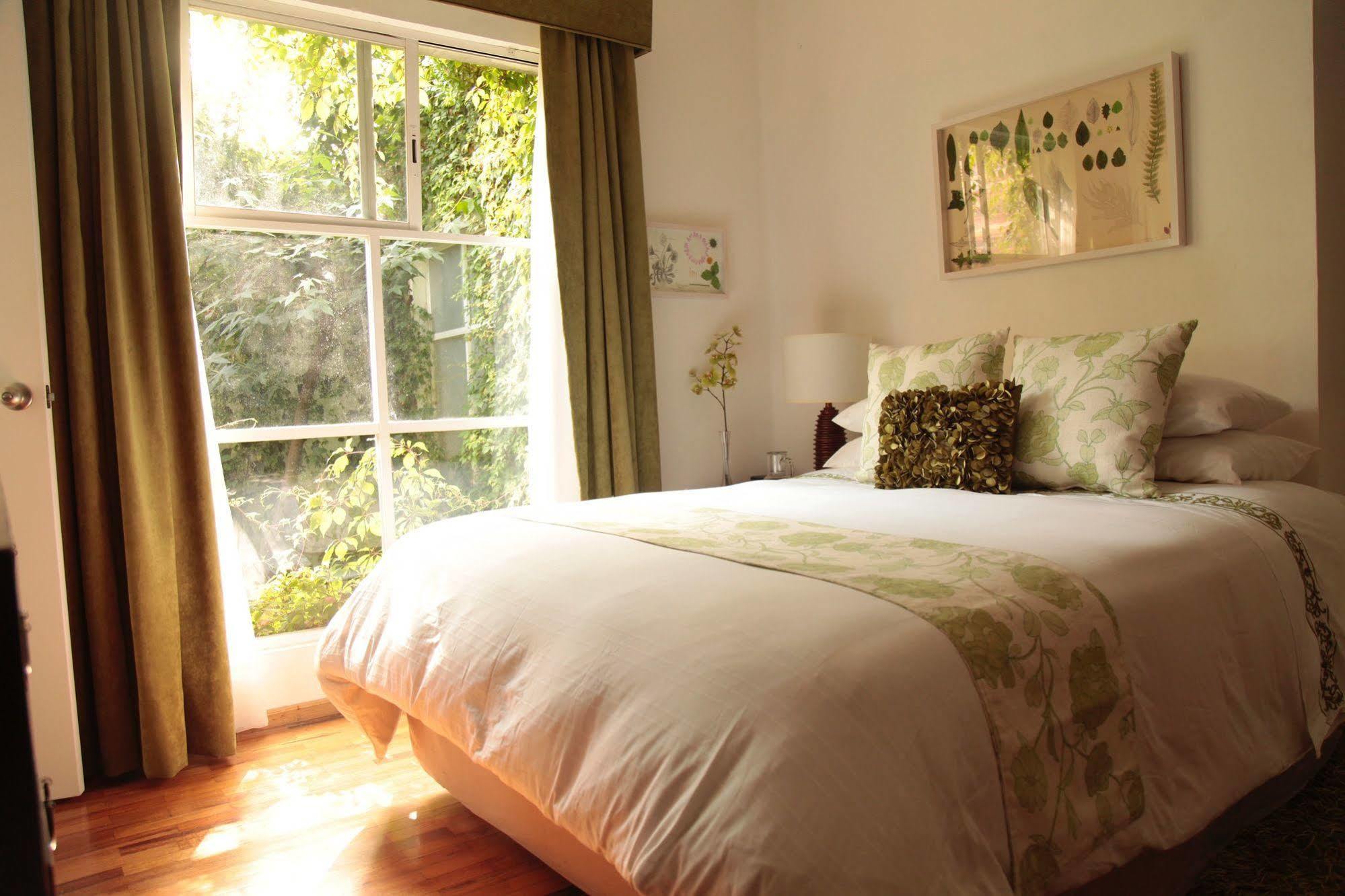 Art Residence San Angel Meksika Dış mekan fotoğraf